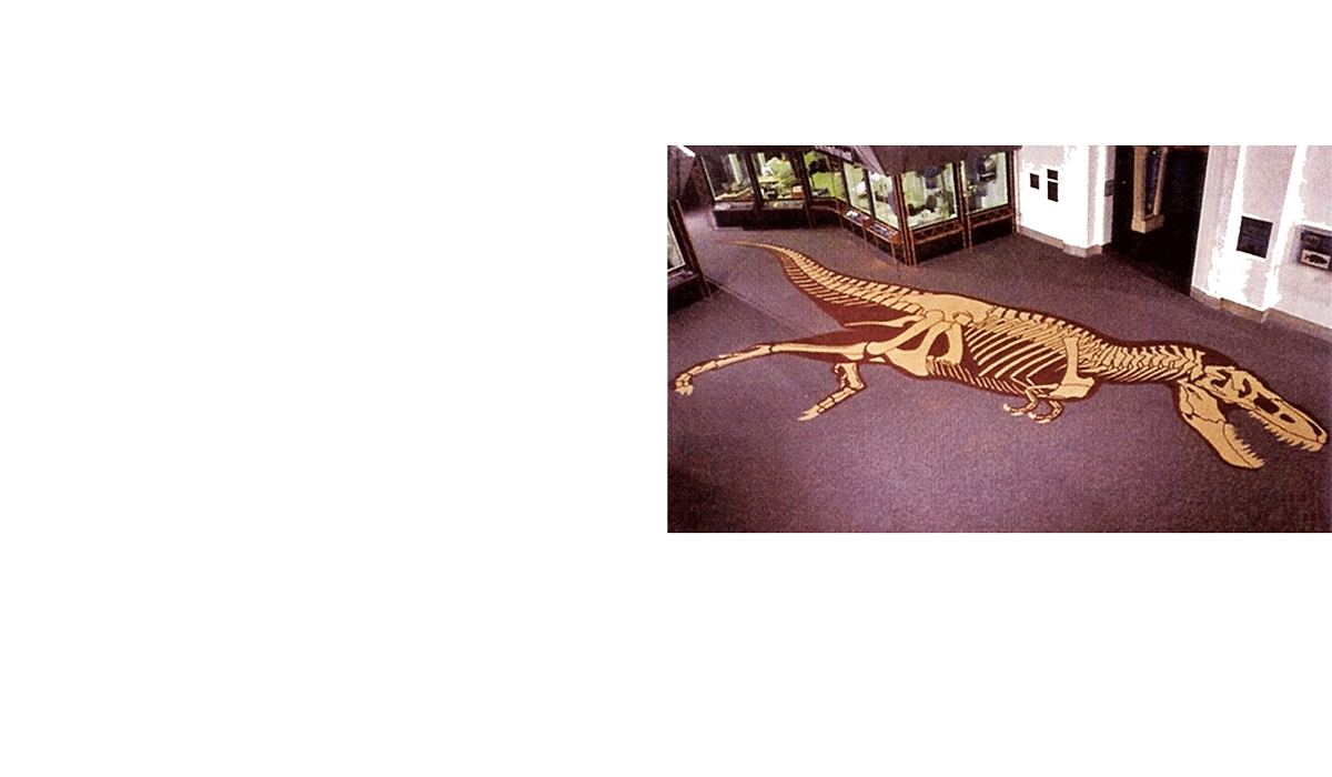 T-rex skeleton custom rug in museum