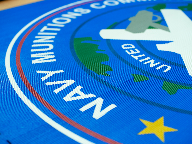 Incredible blue outdoor mat with government logo